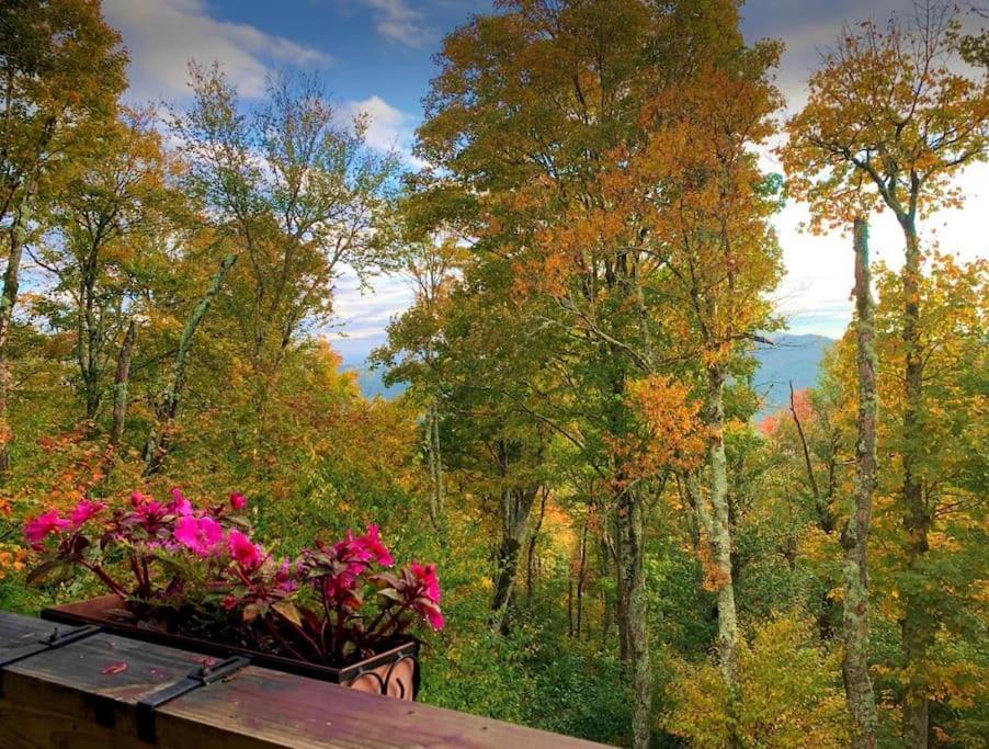 Appresski - 5 Bed Ski In Ski Out - 50 Steps To Ski Sugar Mountain Slopes Exterior photo